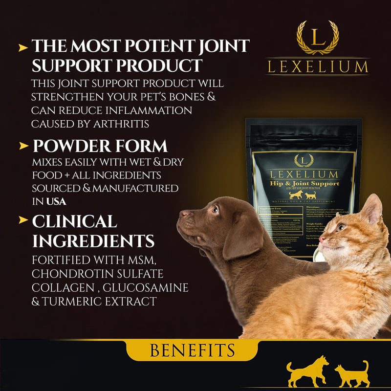 Joint Supplement for Dogs & Cats - Chondroitin Sulfate, Turmeric, MSM, Glucosamine & Calcium for Healthy Bones & Optimal Skeletal Function - Optimal Joint Care to Help w/Arthritis- 200g - PawsPlanet Australia