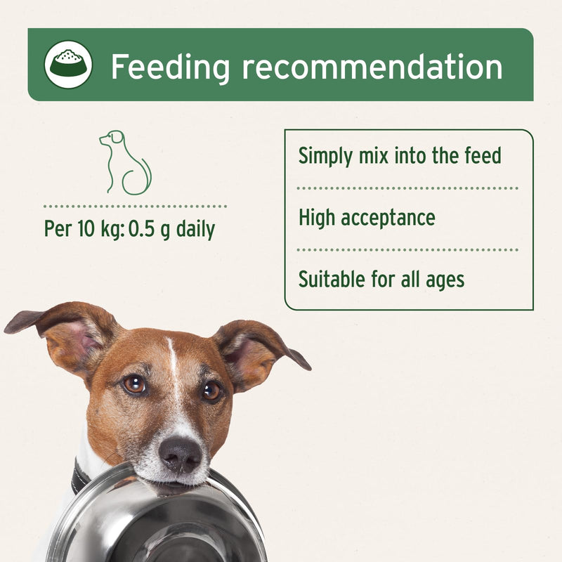 AniForte Seaweed for Dogs Powder 250g - Natural Supplement for Cleaning Teeth, Fresher Breath, Prevents Gum Disease, Boosts Weight Loss & Metabolism
