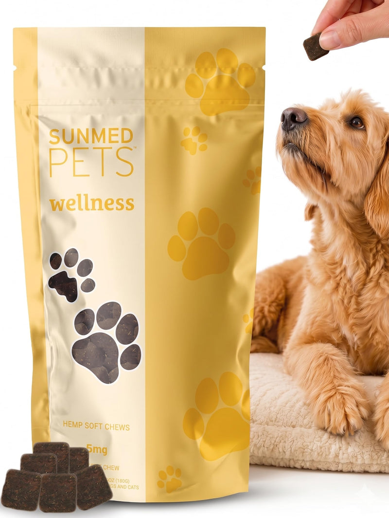Sunmed Wellness Chew for Dogs with Pumpkin & Hemp Extract – Supports Digestive Health, Wellness & Balance – All-Natural, Safe & Tasty Chews for Dogs – 40ct Digestive Health Support Chews