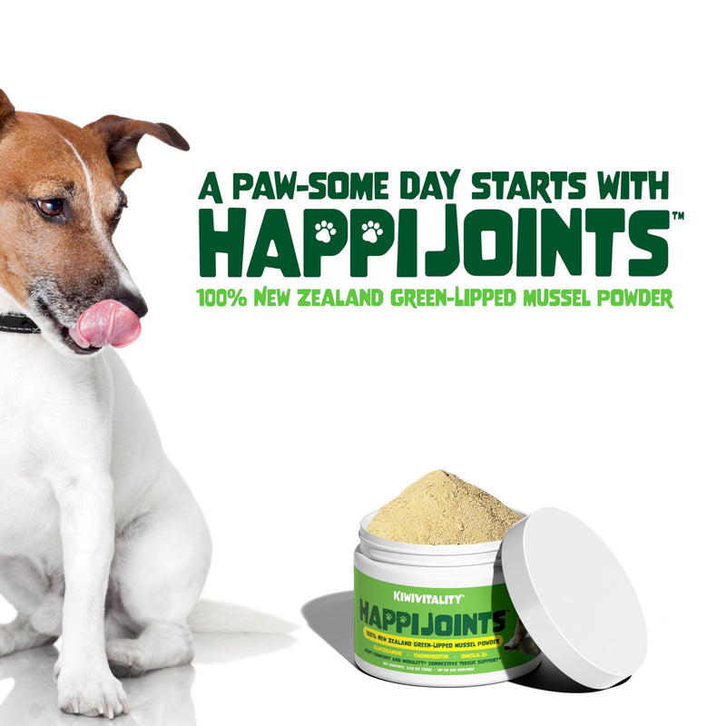 Green Lipped Mussel Powder for Dogs & Cats - Premium Hip & Joint Support for Joints, Tendons, Ligaments (400 Grams, Up to 1200 Servings) 2-Pack - PawsPlanet Australia