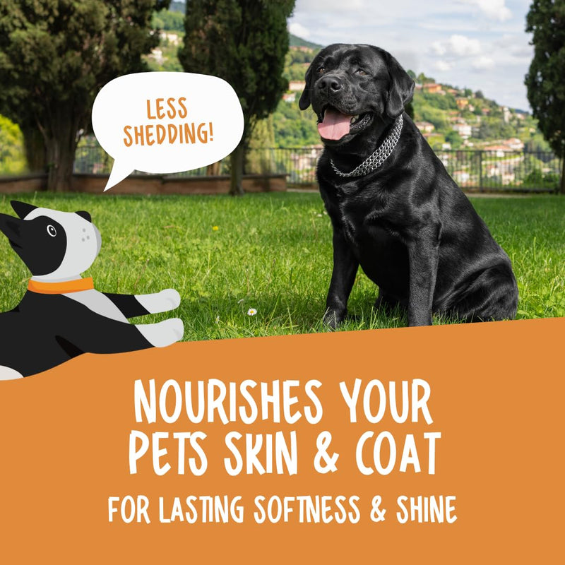 Omega 3 for Dogs & Cats, Omega 369 Fish Oil for Dogs & Cats 1000mg, 120 Softgel Capsules. Seed & Fish Oil Supplement for Healthy Joints, Skin & Coat, Brain, Heart & Immune Health & Vitality.