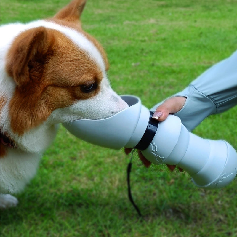 18 OZ Foldable Silicone Dog Water Bottle 500ML- Portable Outdoor Pet Hydration Solution, Leak-Proof, Easy to Carry, Perfect for Hiking, Travel, and Walking(Grey, 550ML) Grey - BeesActive Australia