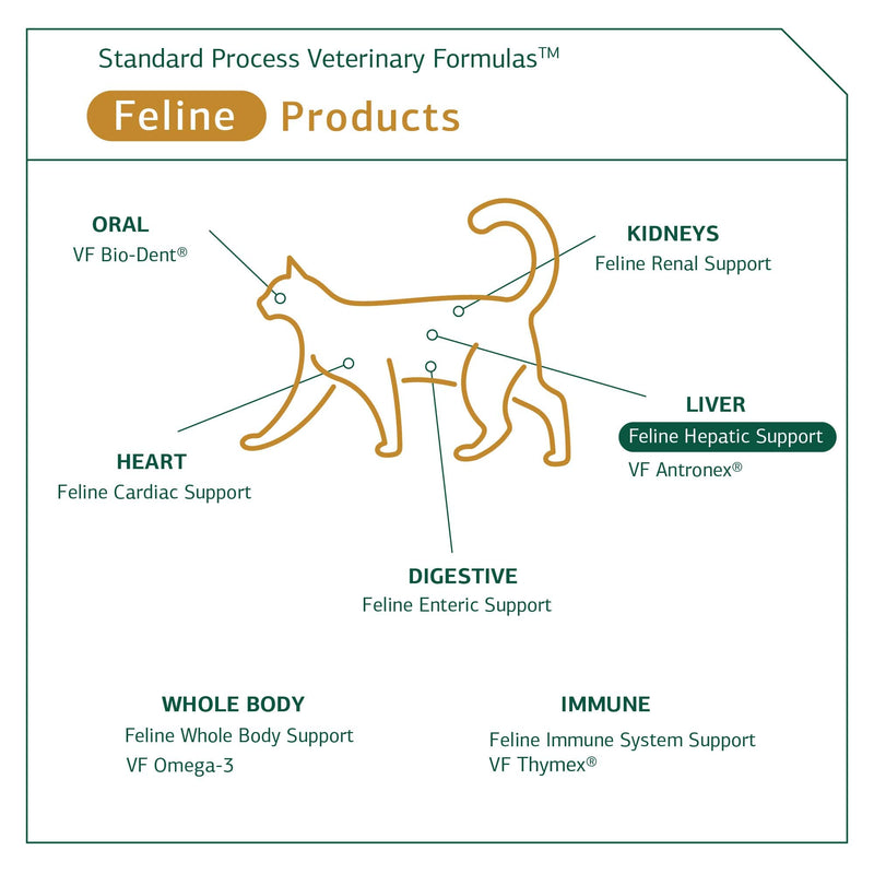Standard Process Feline Hepatic Support - Cat Health Supplement for Liver Support - Hepatic Circulation & Liver Metabolism Aid - Tablet Supplement to Aid Hepatic Immune Function - 90 Tablets - BeesActive Australia