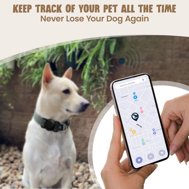 Airtag Dog Collar Holder | Waterproof Airtag Holder for Dog Collar | Pet Airtag Holder - Cat, Dog Airtag Holder | Air Tag Dog Collar Airtag Holder - 2 Pack Black - BeesActive Australia
