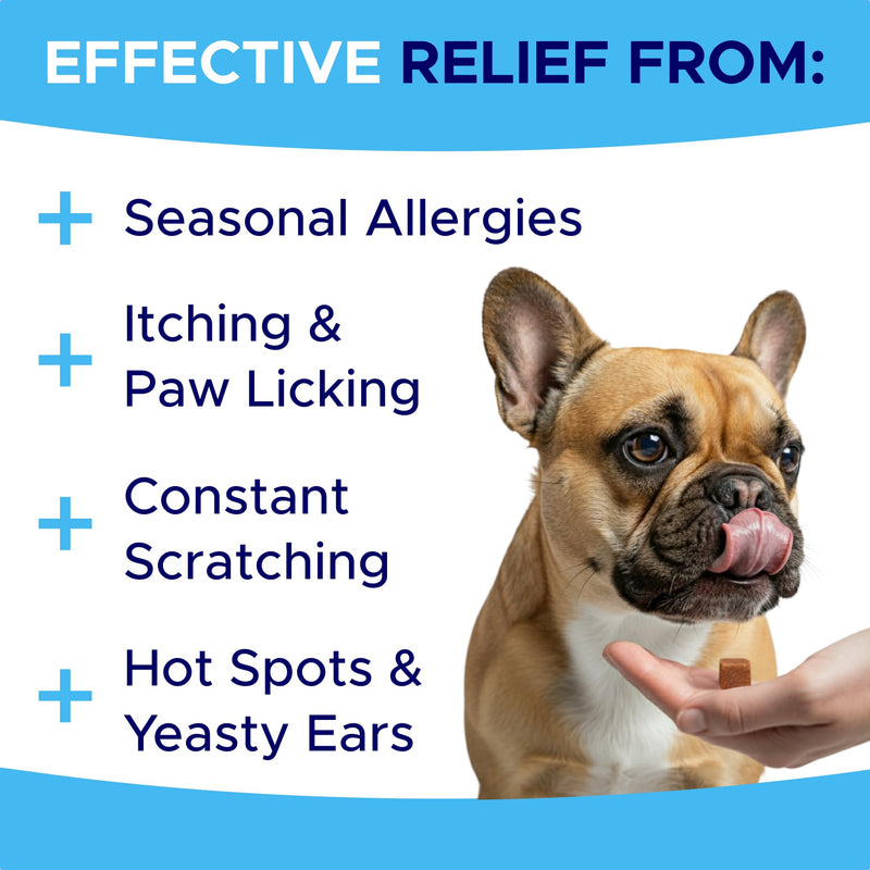 Itchy Dog Skin Relief - Allergy Support Chews - Skin & Coat Supplement - Omega 3 Fish Oil - Itching & Paw Licking - Dry Skin & Hot Spots - 90ct/Pork 90 Soft Chews