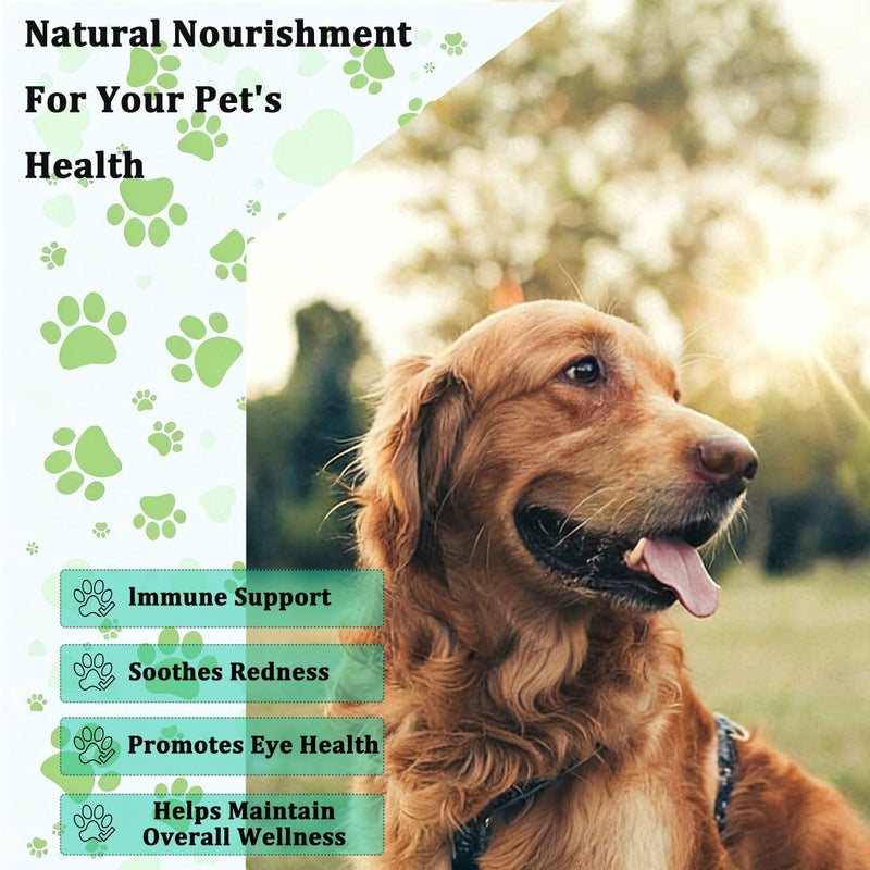 Cherry Eye Treatment for Dogs, Advanced Ocular Formula, Daily Vision Health Powder with Immune Support, Chicken Flavor, 4oz