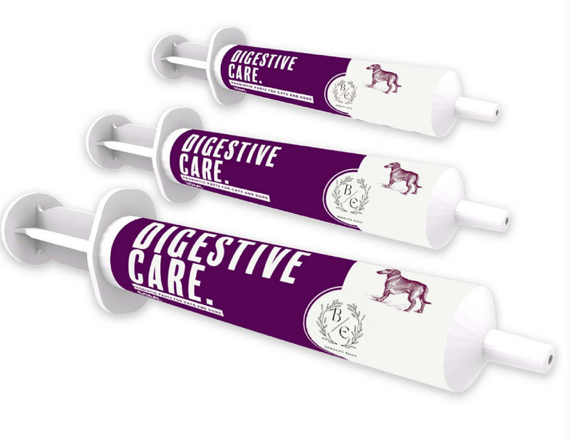 Vet Quality Advanced Pet Pre & Probiotic Paste - Fast Acting Treatment For Dogs & Cats - Diarrhoea - Digestive Upset - Bacterial Gut Imbalance - Firms Loose Stools – 30ml Syringe (Pack of 1)