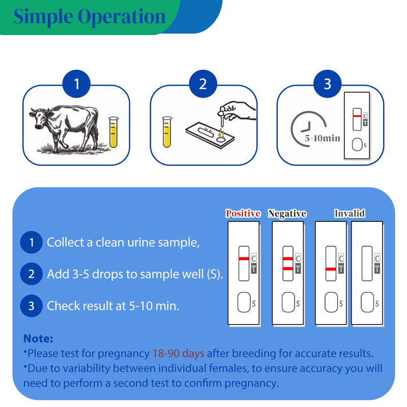 2 Pack Cow Pregnancy Test Kit for Home & Small Farms: Painless Urine Test, Fast 5-10 Min Results, Easy to Use, Safe & Accurate Early Detection, Reliable Solutions for Bovine Pregnancy Detection White - BeesActive Australia