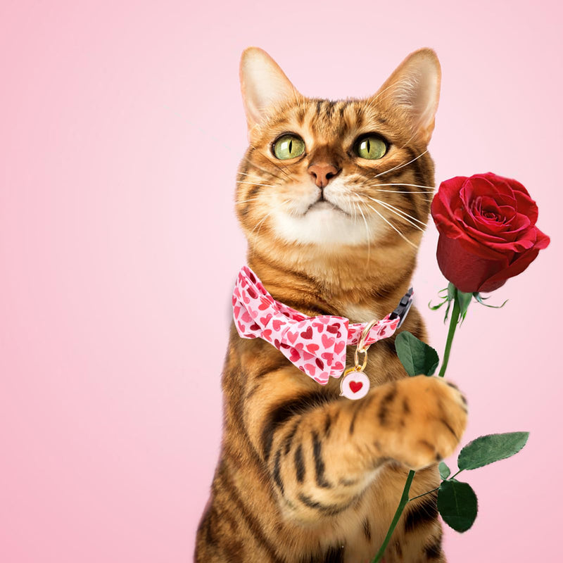 Faygarsle 2 Pack Valentine's Day Cat Collar Cute Loving Heart Printed Collar with Bow tie Breakaway Pink Purple Cat Collar for Boy Girl Cats Pink&Purple - BeesActive Australia