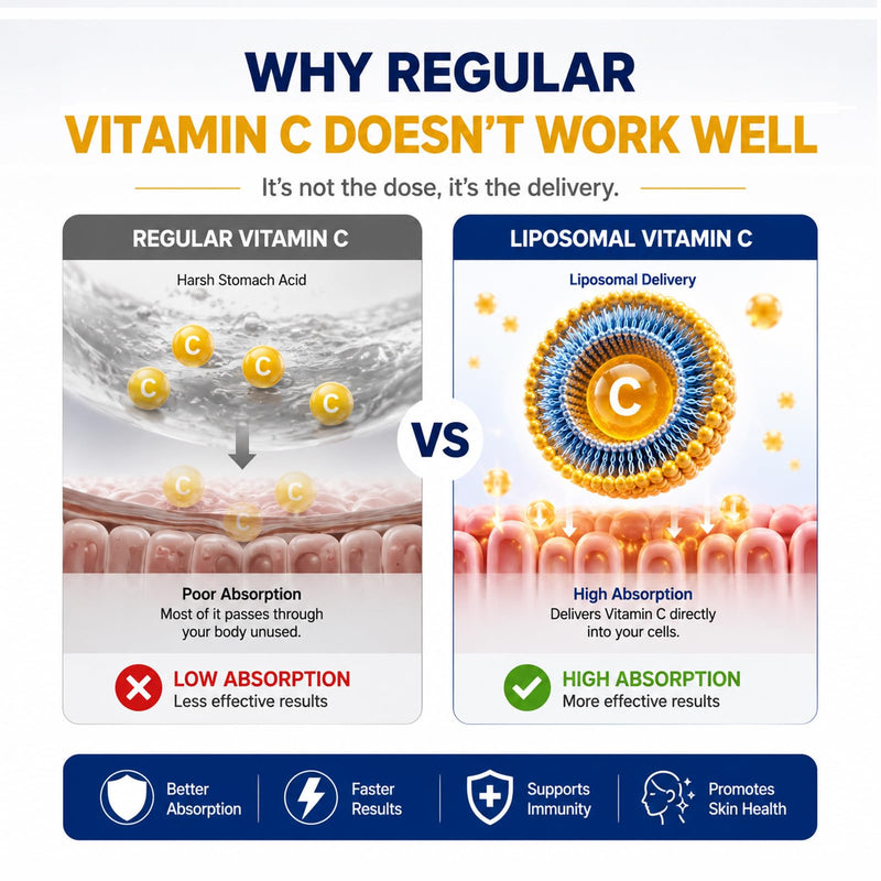Liposomal Vitamin C Liquid 500mg - High Absorption Vitamin C Supplement for Immune Support, Collagen Production & Antioxidant Protection, Skin Glow, Gentle on Stomach, Non-GMO, 1.7 fl oz