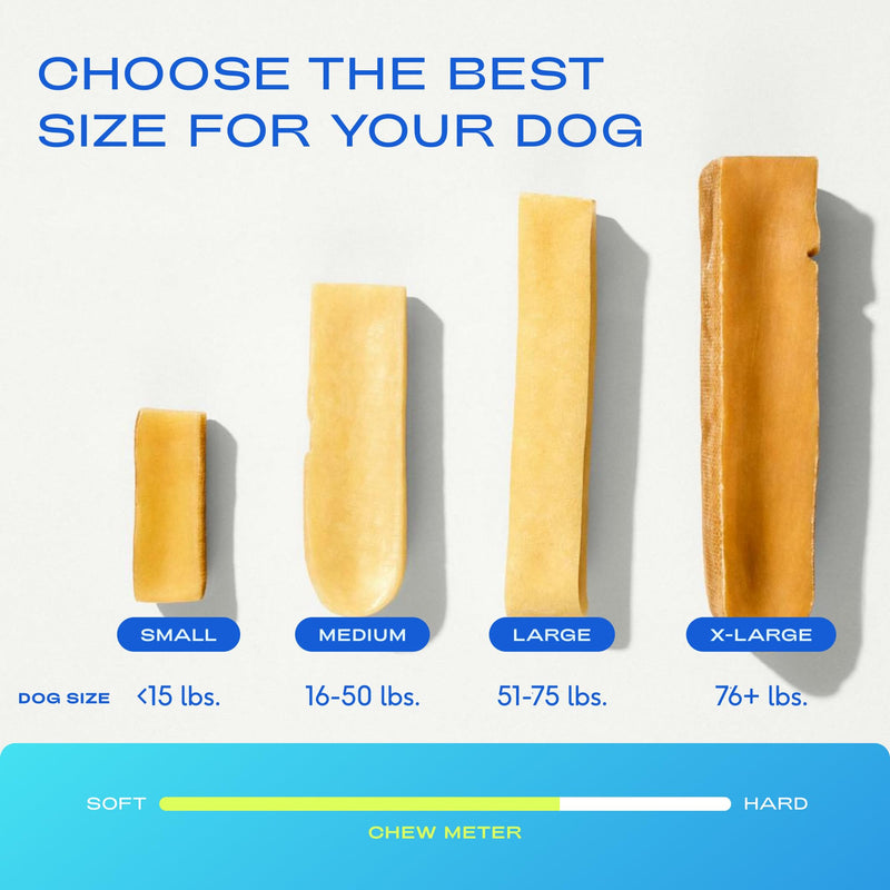 Native Pet Gut & Gnaw Bundle: 60 Scoops GutWell Power Poop - Digestive Enzymes & Fiber for Dogs & 3 Medium Yak Cheese Himalayan Dog Chews - Long Lasting Dental Sticks