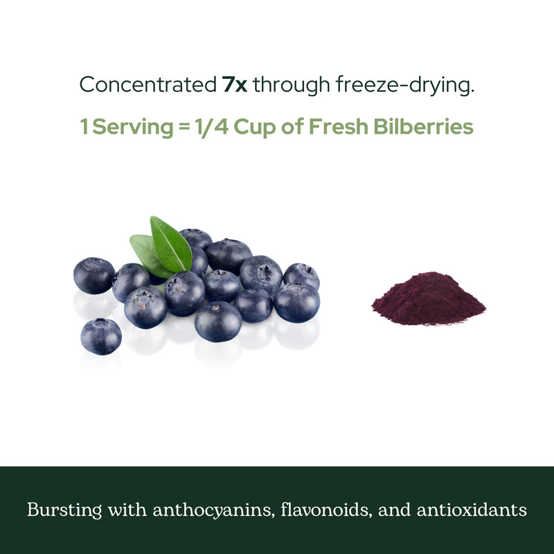 Eclectic Herb - Bilberry Powder Supplement | Vision Health, Cardiovascular Support & Circulation | Superfood Vitamin & Mineral Supplement | Freeze Dried, Vegan, Non-GMO, Gluten Free (3.2 oz | 90 g)