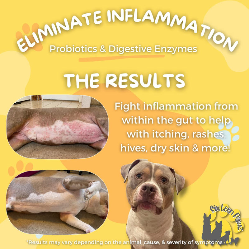 Probiotics, Prebiotics, & Digestive Enzymes for Dogs| Limited Ingredients| Organic |Digestive Support |Allergy Relief |Immune Support| Reduces Inflammation| Diarrhea & Gas Relief 65g - PawsPlanet Australia