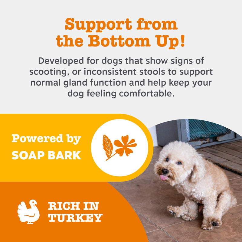 Zesty Paws Scoot Away Chews for Dogs | Supports Anal Gland Function, Digestive Health & Bowel Movements | With Prebiotic Fibre, Oligofructose, Flaxseed Oil, Toasted Pumpkin Seed| Daily Use | 90 Chews