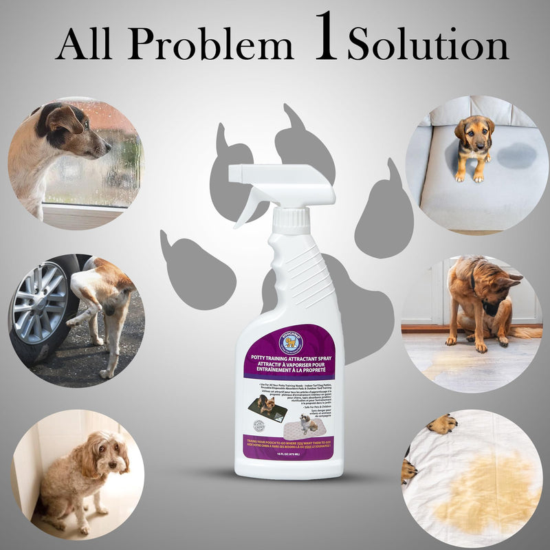 PoochPad Potty Training Attractant Spray for Dogs & Puppies 16 oz, Made in USA, Indoor Potty Pad & Outdoor Use, Dog Training & Behavior Aids Housebreaking Supplies