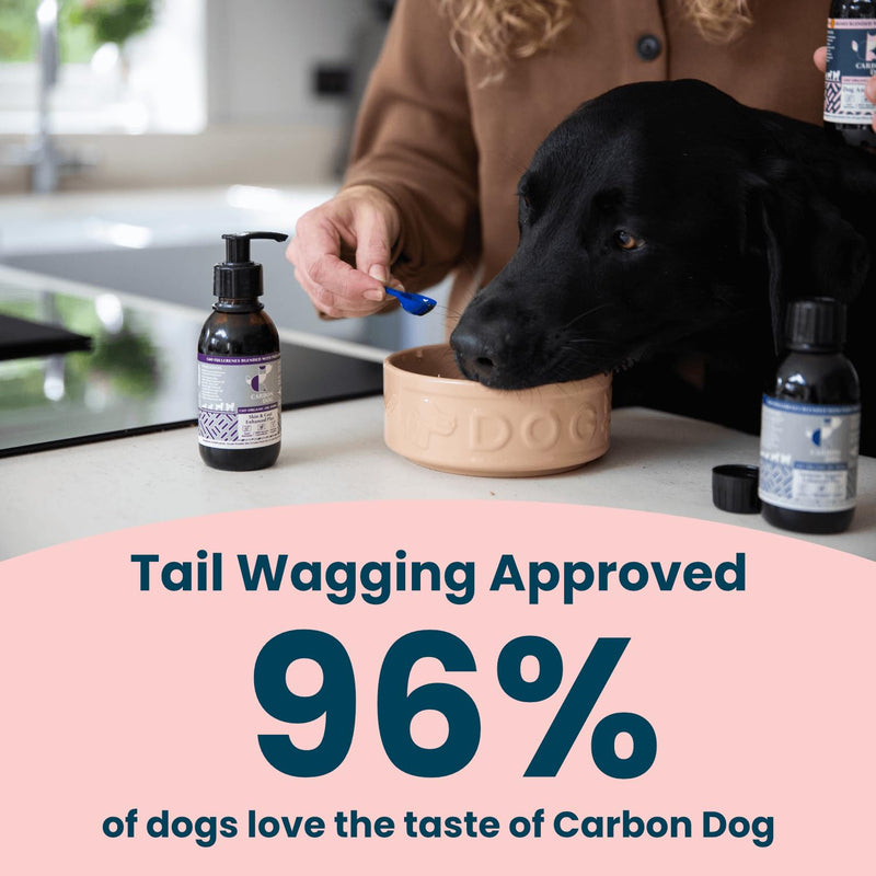 Daily Support Dog Supplement 150ml | Specially Formulated Supplements for Adult Dogs | For Balance, Vitality & Long Term Health | 100% Natural | With Salmon Oil and Coconut Oil for Dogs