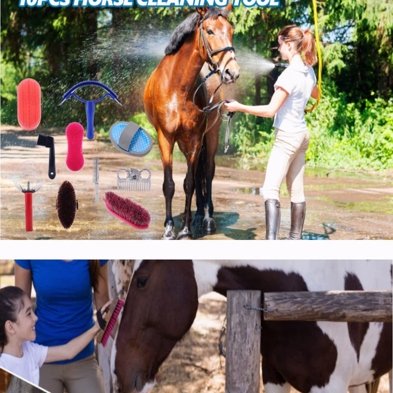 10PCS Horse Cleaning Tool Set Horse Grooming Care Kit Horse Brush Set with Hoof Pick Sweat Scraper Assorted Hair and Curry Comb Pick Itching Brushes - BeesActive Australia