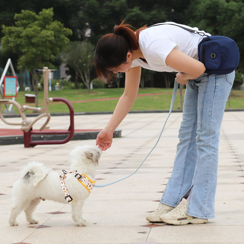 Dog Cat Harness and Leash Set, Puppia Soft Mesh Padded and Adjustable Puppy Vest Cute Dog Clothes Escape Proof Easy Walk Dog Accessories (Honeybee, M (Neck 13.4"-16.5"; Chest 17.7"-23")) Honeybee M (Neck 13.4"-16.5"; Chest 17.7"-23") - BeesActive Australia