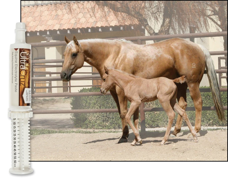 UltraCruz sc-516041 Equine Electrolyte Supplement for Horses, 60 ml, Paste - BeesActive Australia
