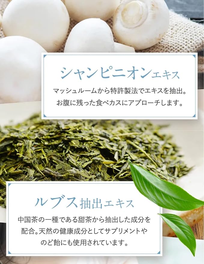 Oral Barrier Champignon Green Tea Polyphenol Etiquette Supplement (30 days) - BeesActive Australia
