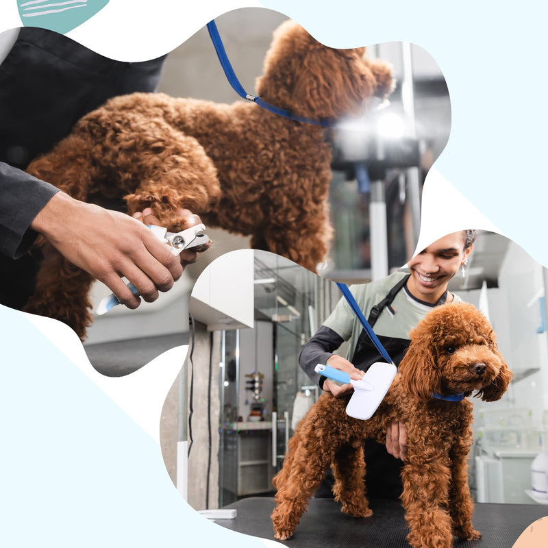 Baderke 6 Pcs Dog Grooming Set with Dog Bathing Leash with Suction Cup, Pin Comb, Straight Comb, Nail Clippers Set, and Bath Brush for Pet Bathing Shower Grooming - BeesActive Australia