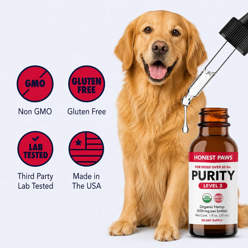 Honest Paws Hemp Oil for Dogs - Natural Hemp Seed Oil Drops Rich in Omega 3 6 9 - May Help Support Calm Behavior, Physical Comfort & Overall Wellness - Made in USA Level 3