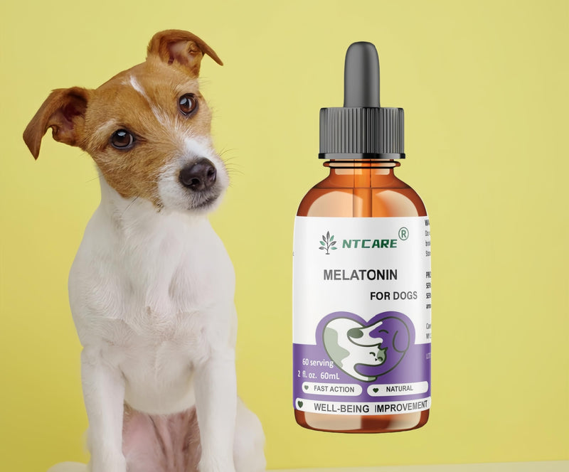 Melatonin for Dogs, Natural Well-Being Supplement, 2 fl. oz, 60 Servings