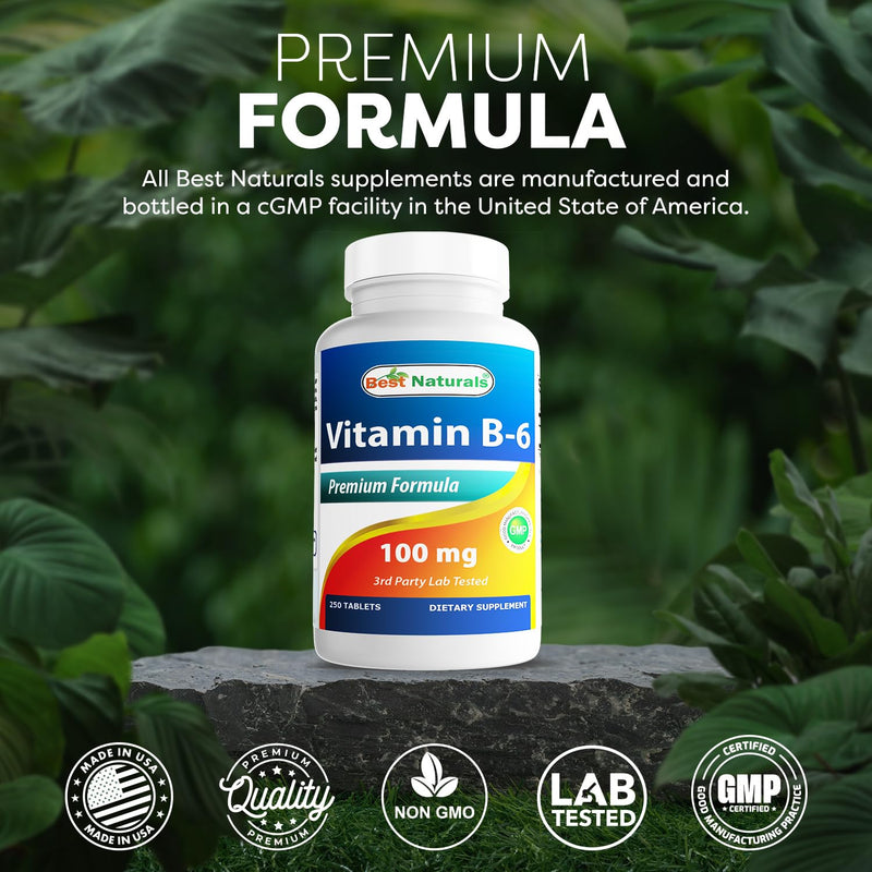 Best Naturals Vitamin B6 Tablet, 100 mg, 250 Count 250 Count (Pack of 1)