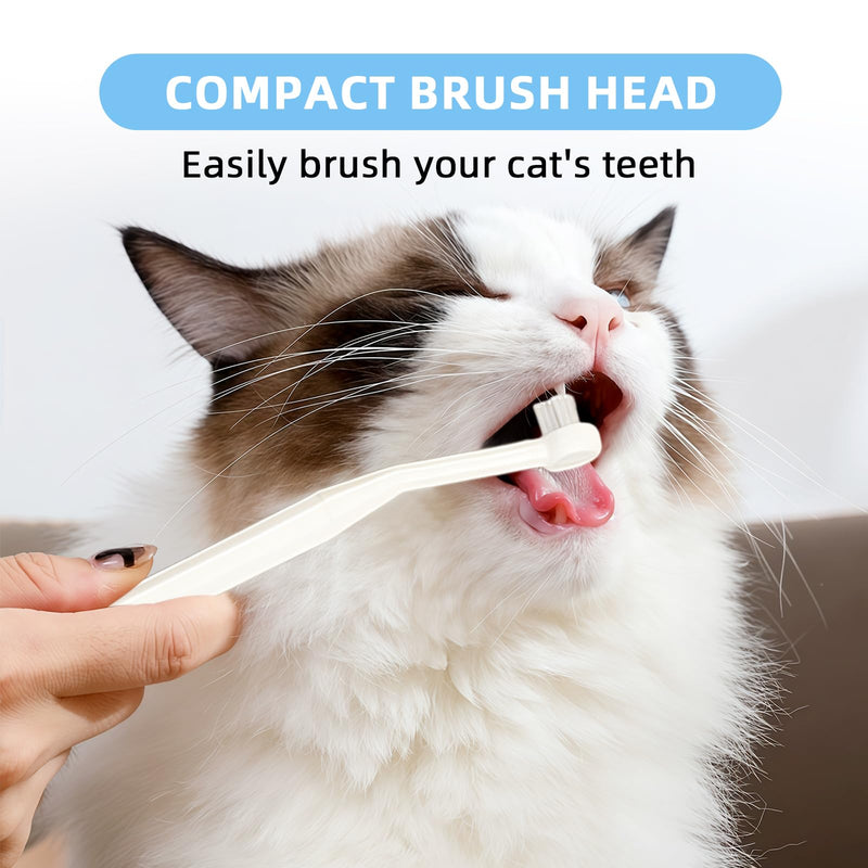 HOP Cat Toothbrush and Toothpaste Kit Vanilla Cat Toothpaste(70g) 2 Soft Nylon Bristles Micro-Head Cat Toothbrushes Kitten Tooth Brushing Kit Pet Dental Care Kit for Cats and Small Dogs Fresh Breath