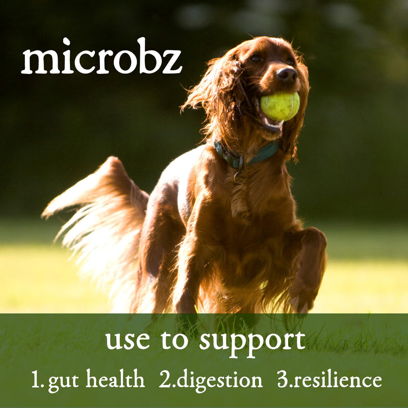 MICROBZ DOG NUTRITION | 1 Litre | Liquid Beneficial Microbes for Dogs Gut Health, Digestive Care & Coat Health – Gluten & Dairy Free, 100% Natural - Up to 100 Servings