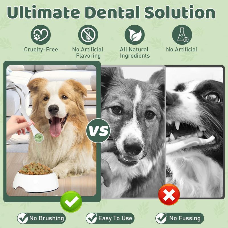 Dog Teeth Cleaning Powder, Dog Dental Powder, Dog Dental Care, Targets Tartar & Bad Breath & Reduces Plaque, Dental Powder for Dog Teeth Cleaning, Green