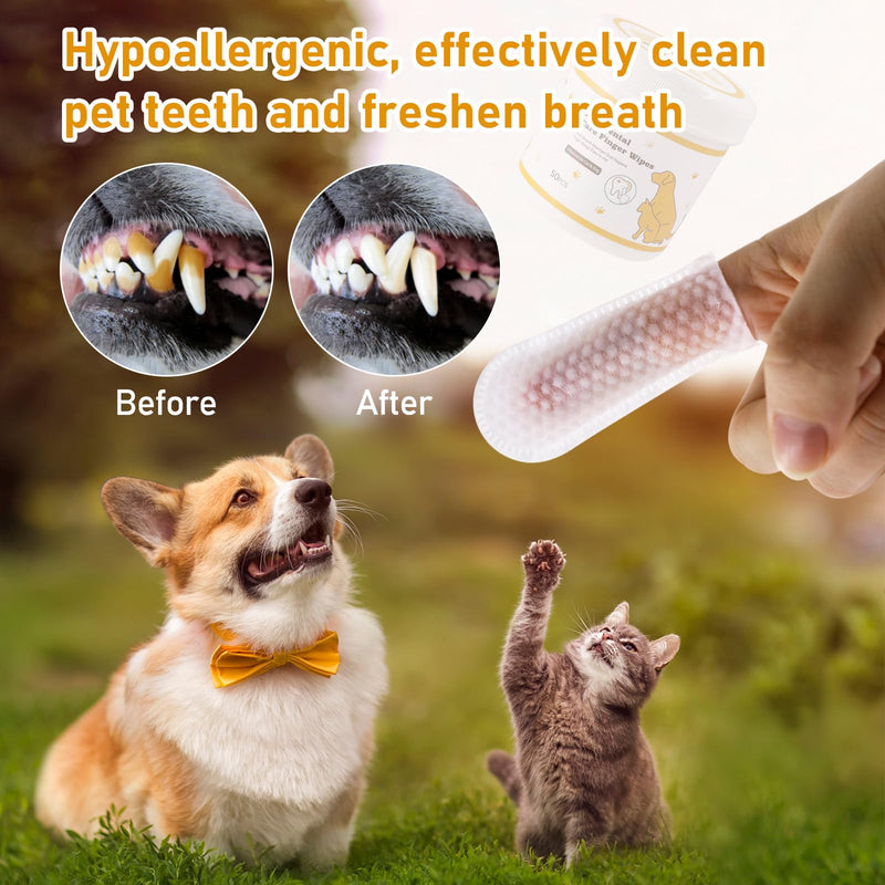 KUCKUCKI Grooming Wipes for Dogs, 50 Wet Wipes for Pets, Teeth Cleaning Wipes, Hypoallergenic Tear-Resistant Natural with Aloe Vera Cleaning Wipes Cats for Teeth, Ears, Eyes - BeesActive Australia