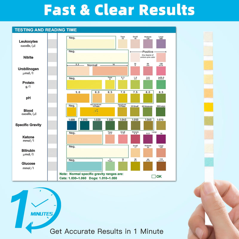Dog UTI Test Strips, 10 Parameter Urinalysis Parameter Tests for Dogs, Cats, Accurate Testing for Veterinarians 50ct, Detects UTI, Bladder, Kidney, Liver, SG, pH, Diabetes, Glucose etc - BeesActive Australia