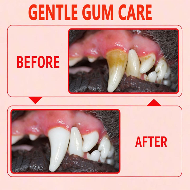 Lactoferrin Pet Oral Care Spray for Dogs & Cats, Natural Gingivitis Support for Gum Sensitivity & Oral Discomfort, with Colostrum, L-Lysine & Prebiotics FOS, Gentle Daily Oral Care, 100ml