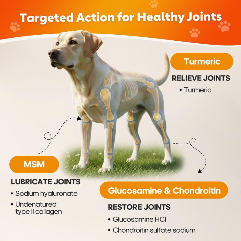 Hip and Joint Supplement for Dogs, Joint Pain Relief Supplement with MSM, Glucosamine, Chondroitin, Support Mobility, Health Chews for Dog, 120 Chews Hip & Joint