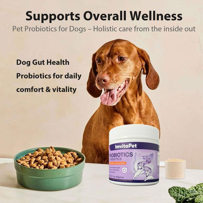 Probiotics for Dogs - Dog Probiotics Powder for Digestive Health, Gut Support, & Immune Boost – Maximum Potency with Digestive Enzymes & Prebiotics - 60Grams 1