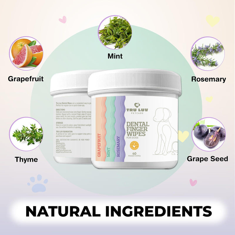 40 Dog Teeth Wipes - Dog Teeth Cleaning Products - Dog Dental Wipes - Teeth Cleaner for Dogs - Dog Tooth Cleaner - Dental Care for Dogs - Dog Tooth Brushing Kit - Dog Teeth Cleaning Kit - Dog Wipes - BeesActive Australia