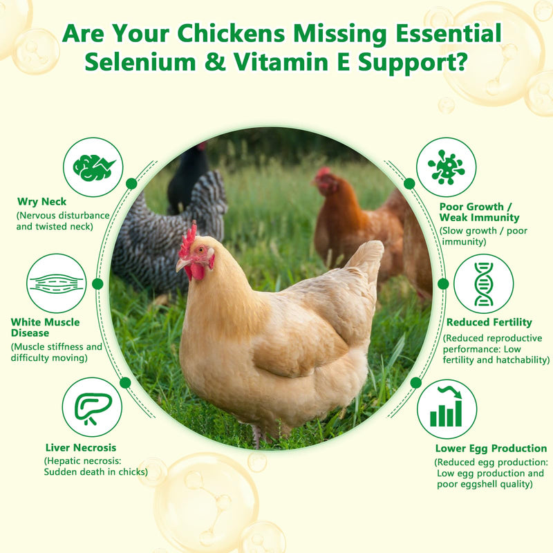 Selenium and Vitamin E Powder for Chickens, Selenium for Chickens, Immune System, Muscle Support & Prevents, Improve Wry Neck, Selenium, Vitamin E Supplements, Suitable for All Poultry, Chicken & More