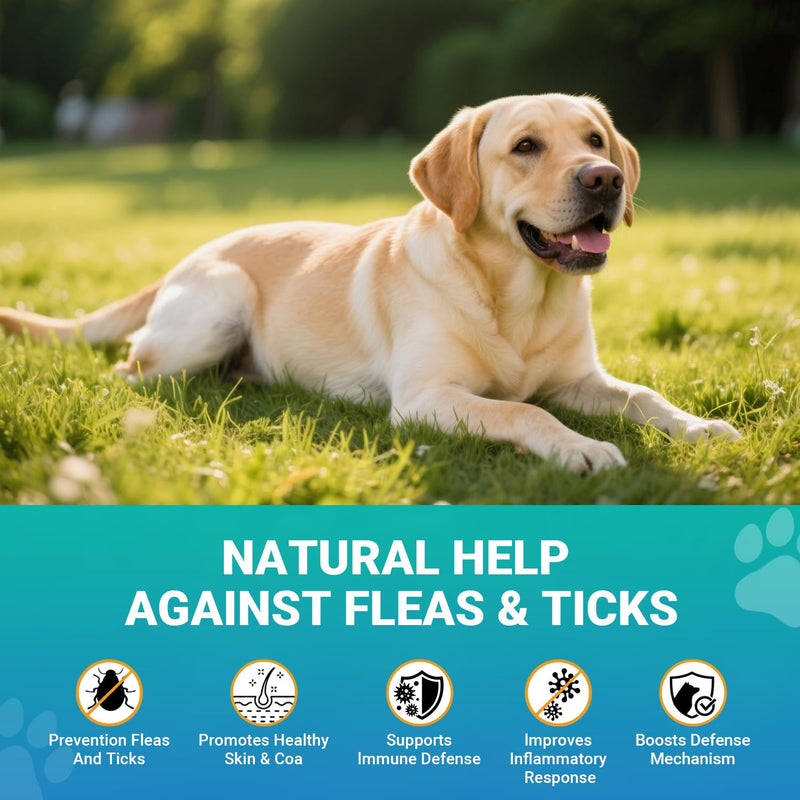 Flea and Tick Prevention for Dogs, 120 Soft Chews Natural Dog Flea and Tick Chewables Oral Flea Supplement for Dogs, Puppy Flea Support - All Breeds & Ages - Chicken Flavor