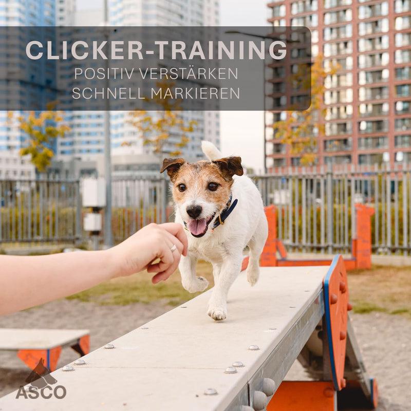 ASCO Finger Clicker, Premium Clicker for Clicker Training, Dogs Cats Horses Professional Clicker, Dog Training Clicker, Black, ASCO-01F - BeesActive Australia