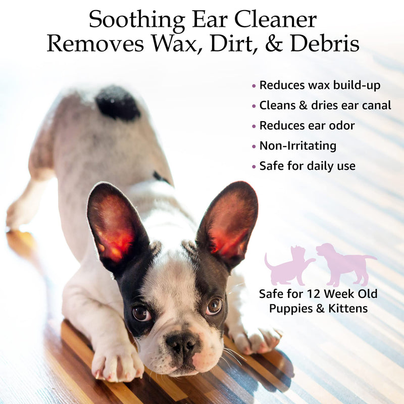 Ear Cleansing Solution for Dogs and Cats - Pet Ear Cleaner Removes Odor & Wax - Deodorizing Dog Ear Cleaner Solution with Aloe & Vitamins - Sweet Pea & Vanilla Scent - 8 oz - BeesActive Australia
