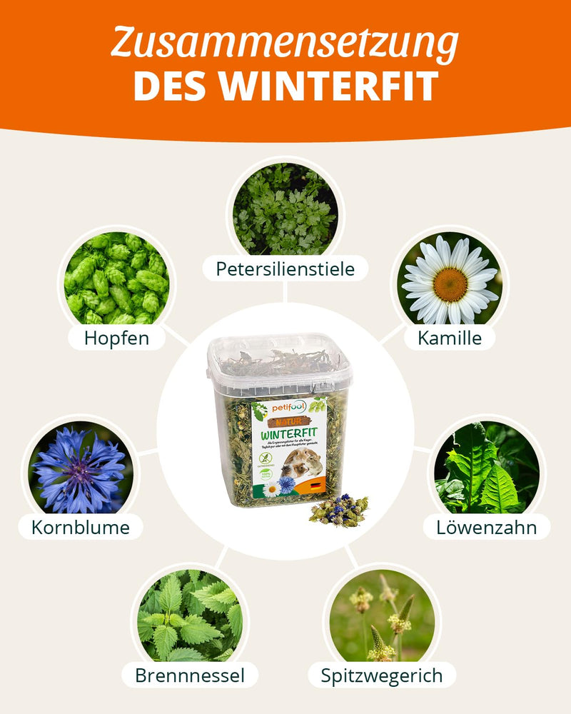 petifool Winterfit 430g - supplementary food for rodents - natural rodent food for rabbits, guinea pigs, hamsters, chinchillas & more - without artificial additives - 100% natural - species-appropriate food 430g (pack of 1) - BeesActive Australia