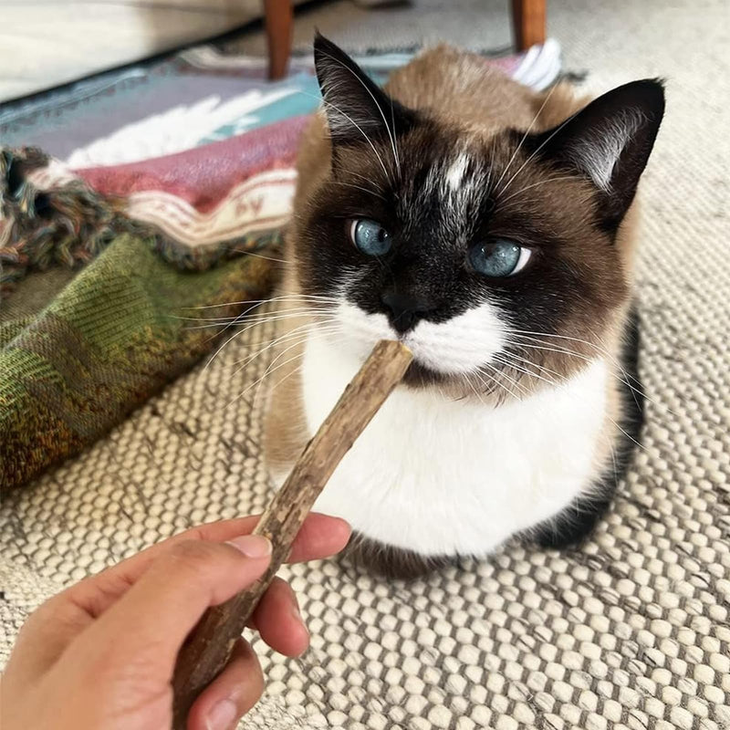 50 PCS Catnip Sticks For Cats, Cat Dental Chew Sticks, Matatabi Cat Dental Care, Silvervine Cat Teeth Cleaning Dental Sticks, Kitten Teething Toys for Indoor Cats 50 pcs