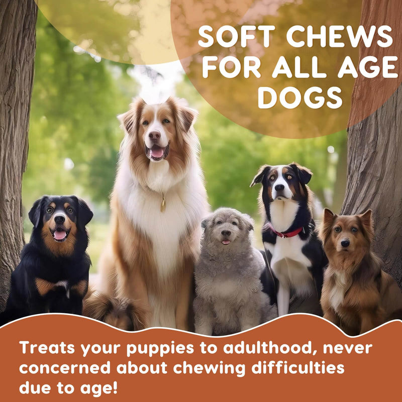Probiotics for Dogs, Dog Probiotics for Digestive Health, Plus Pumpkin and Fish Oil, for Gut & Itchy, 120 Soft Chews 120 Chews - BeesActive Australia