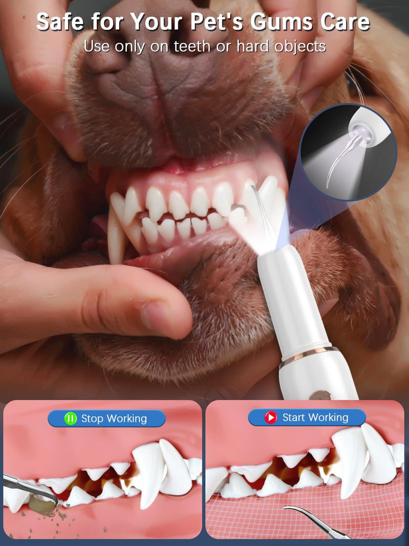 Dog Tartar Remover for Teeth, Electric Plaque Remover for Teeth with LED Light, Dog Teeth Cleaning Kit with 5 Modes and 4 Cleaning Head, Safe for Dog and Cat White - BeesActive Australia