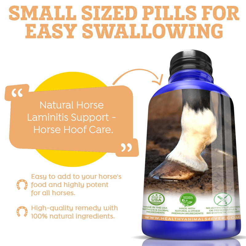 All-Natural Horse Laminitis Support - Horse Hoof Care Products for Damaged or Injured Hooves - Hoof Supplements for Horses - Homeopathic & Highly Effective - 300 Tablets - BeesActive Australia