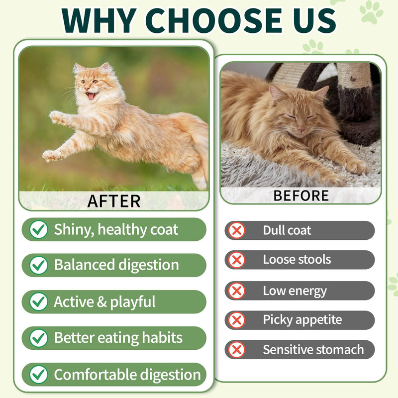 Natural Allergy Relief for Cats, Cat Itchy Skin Allergy Relief Cat Probiotics Tasty Chews