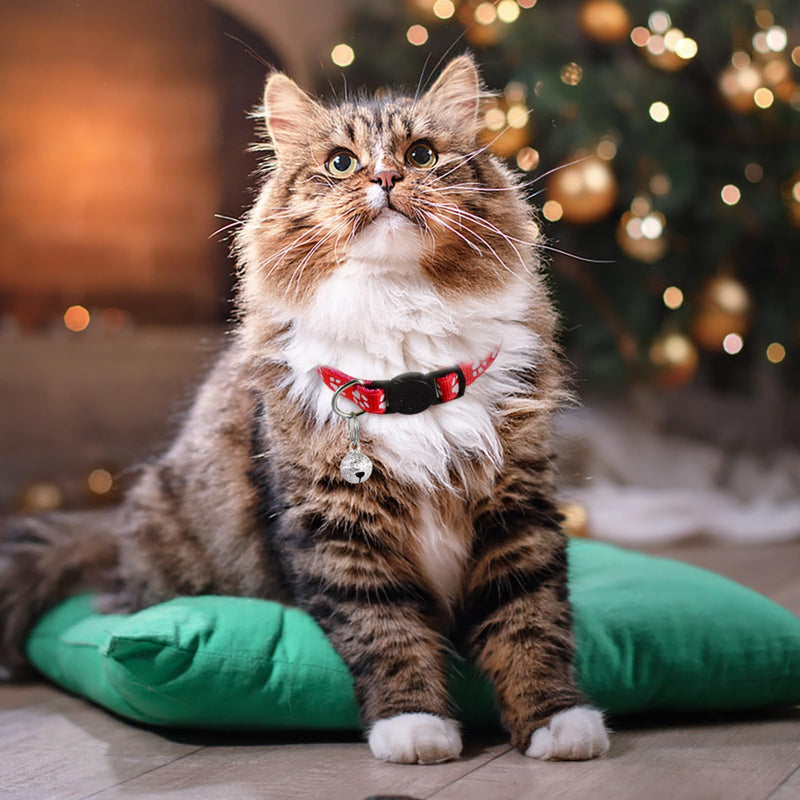 BESPORTBLE 16 PCS Breakaway Cat Collars with Bells: Safety Reflective Cat Collar Breakaway Nylon Kitten Collars Cat Collars for Girl Boy Cats(7.5-12.6) - BeesActive Australia