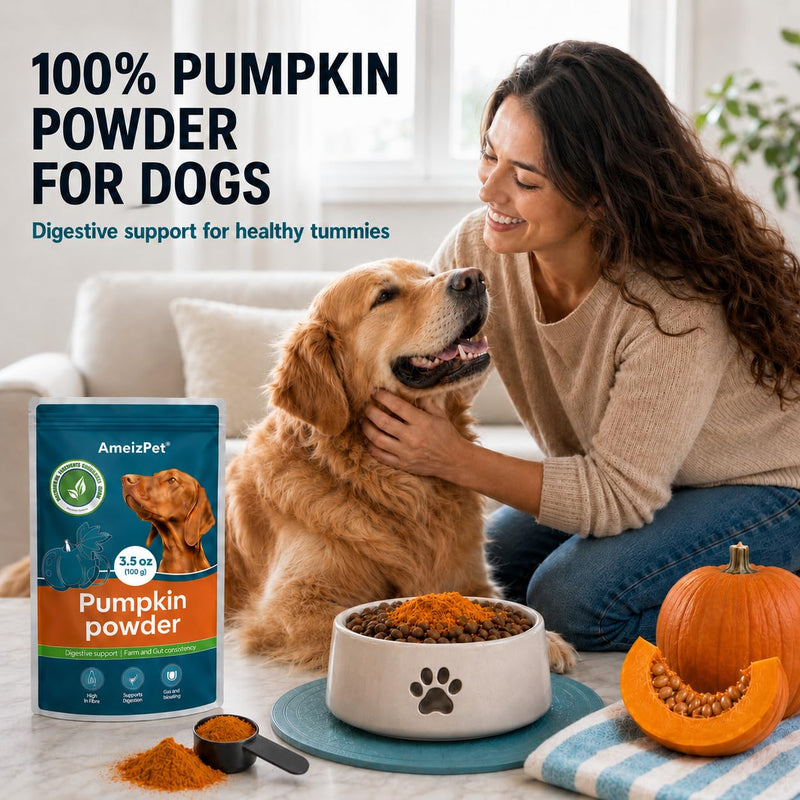 AmeizPet Pumpkin Powder For Dogs, To Create Pumpkin Puree, Fibre For Dogs Firm Stool, 100% Pumpkins Pulp Powder For Good Bowel Activity For Dog, Canned Pumpkins Alternative, 100g (3.5 Oz.) 100 g (Pack of 1)