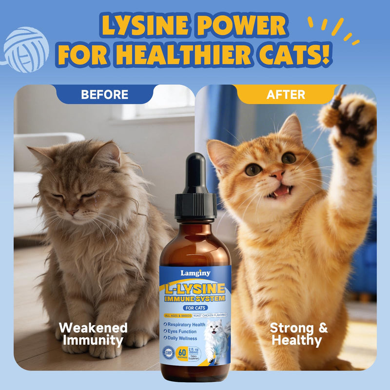 L-Lysine for Cats - Lysine Drops for Cats - Immune Support Supplement with L-Taurine, Vitamins - Feline Respiratory Health, Sneezing, Runny Nose,Eye Function - Roast Chicken Flavor, 2 fl oz